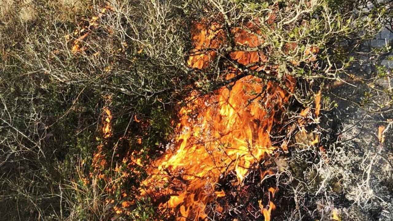 Orman yangını, köylülerin müdahalesiyle söndürüldü