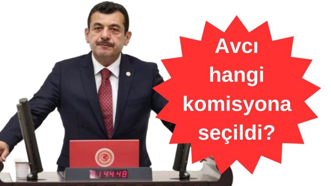 Milletvekili Muammer Avcı, hangi komisyona seçildi?