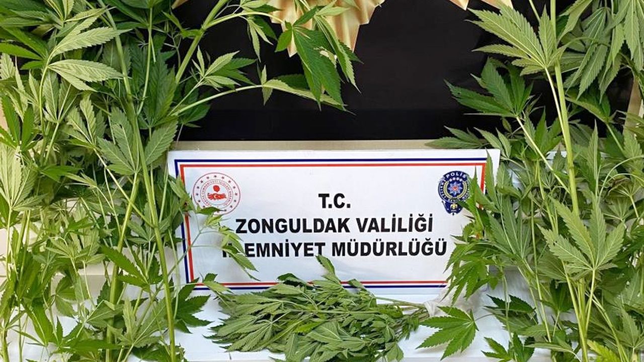 Zonguldak'ta operasyon: 3 şüpheli yakalandı!