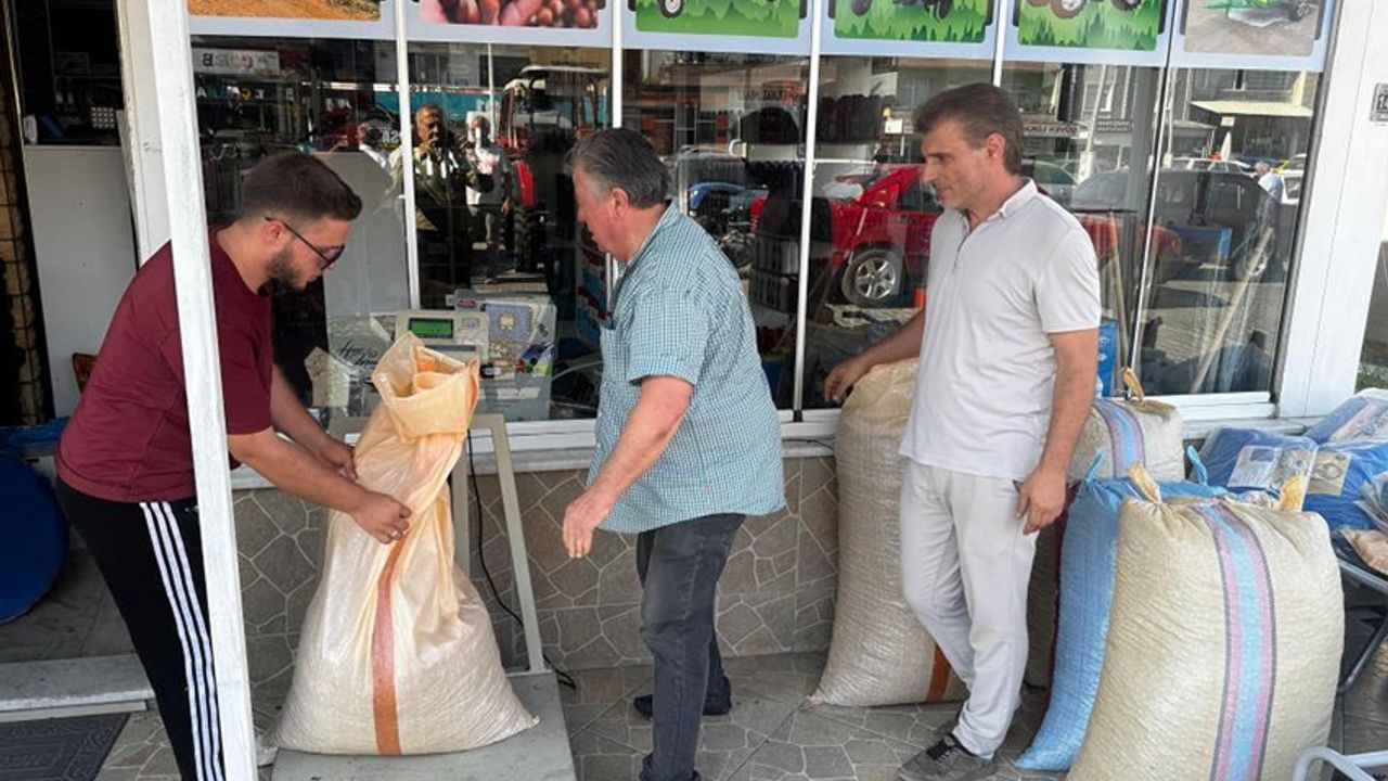 Fındığın fiyatı 250 lirayı geçti
