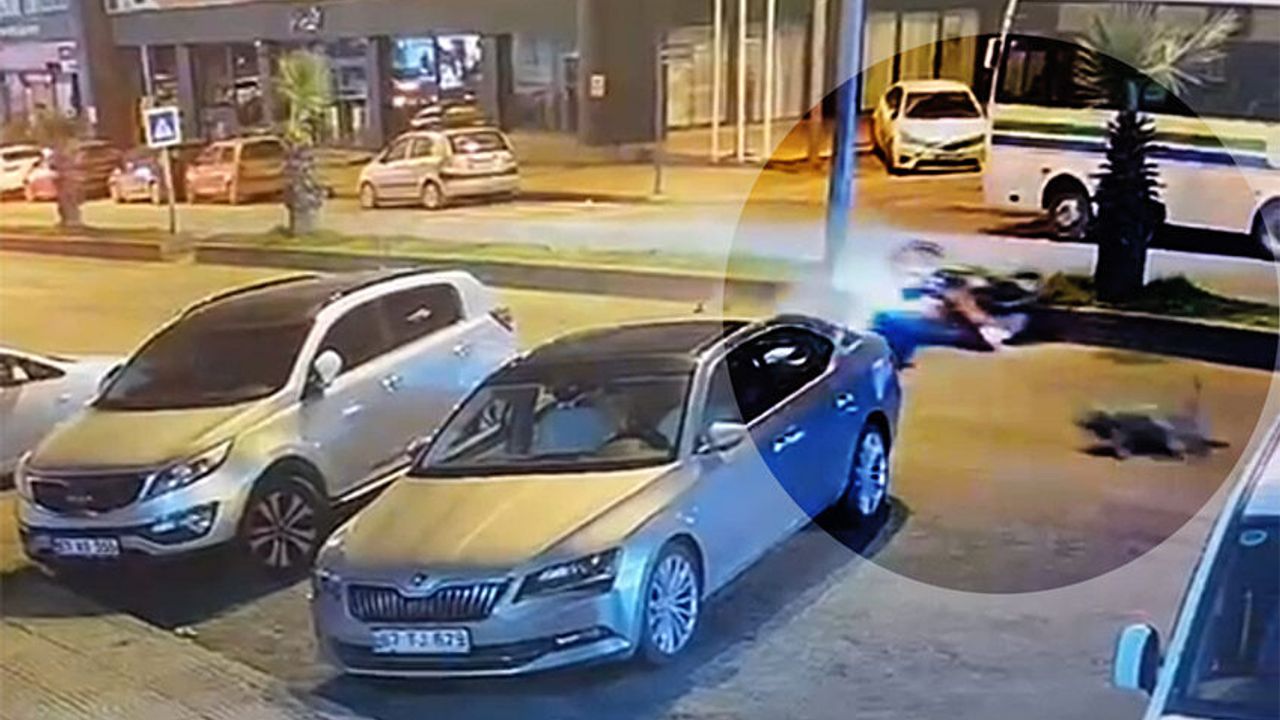 Sürücü yaralandı, köpek telef oldu!