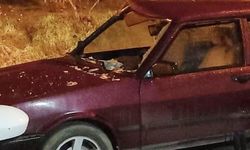 Alaplı'da ilginç kaza: İnek, otomobile çarptı!