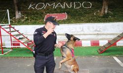 Operasyonların vazgeçilmeziydi...