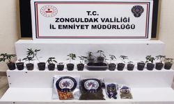 Zonguldak Emniyetinden operasyon: 6 gözaltı!