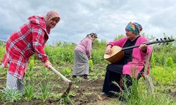 Hayallerinin peşinden gidip, bağlama çalmayı öğrendiler
