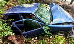 Kontrolden çıkan otomobil, ağaca çarptı: 3 yaralı!