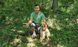 Siyah elması radar köpekler buluyor