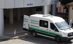 Fındık toplarken kriz geçirdi, hayatını kaybetti