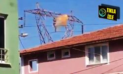 5'inci kez çıktığı direkten, dumanlar içinde böyle düştü