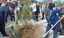 Maden Şehitleri, hatıra ormanında yaşatılacak