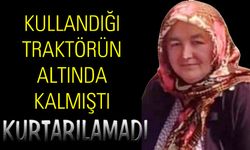 Alaplılı Emine Öztürk, hayata tutunamadı