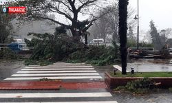 Fırtına, Kdz. Ereğli'de büyük hasara neden oldu