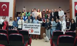 Devrek’te, Sokak hayvanları için çalıştay düzenlendi