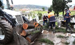 Felaketin izleri siliniyor