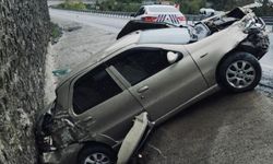 46 kişi, trafik kazalarında hayatını kaybetti