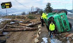 Tomruk yüklü kamyon devrildi: 2 ölü!