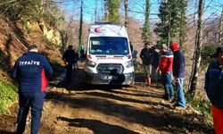 Alaplı'da, üzerine tomruk devrilen işçi yaralandı