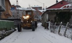 Hangi ilçede kaç köy yolu kapalı?