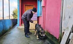 Köpeğin vefası herkesi duygulandırdı