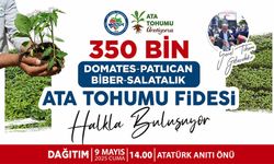 350 bin adet ata tohumu dağıtılacak
