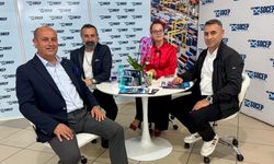 Ünlüer, Ro-Ro seferleri için girişimde bulundu