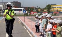 "Ayıyı döveriz, arıyı yakalarız"