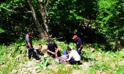 Alaplı'da, otomobil şarampole devrildi: 3 yaralı!