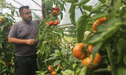 Baba mesleğini bıraktı, tarıma başladı