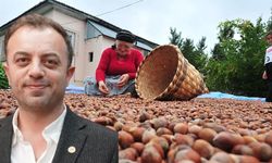 "Fındığı emanete vermeyelim"