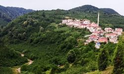Alaplı’da, 5 köyde seçim heyecanı yaşanacak