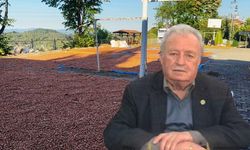 Fındık 10 dolara çıkarsa şaşırmayın