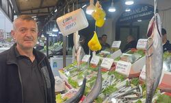 Balıkçıların hamsi beklentisi yüksek