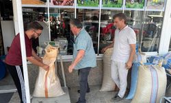 Fındığın fiyatı 250 lirayı geçti