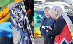 Ereğli’de, 153 tekneye e-seyir onayı verildi