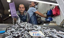 Yaz sıcakları palamudu vurdu, yerini hamsi aldı