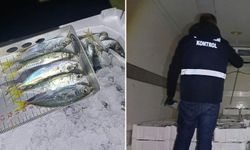 Akçakoca'da, bin 845 kilo istavrite el konuldu!