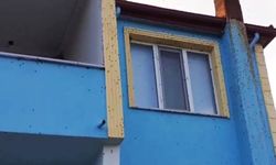 Kahverengi kokarca istilası kabusa dönüştü!