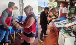 Zonguldak’ta, su ürünleri denetimleri sürüyor