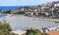 Zonguldak Limanı, sarı renge boyandı!