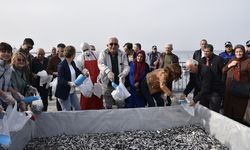 Karadeniz Ereğli, hamsi koktu!