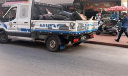 Ereğli'de, kaldırım işgaliyle mücadele sürüyor!