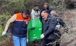 Ağaçlık alanda ölü bulundu!