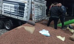 Fındık fiyatları yükselişe geçti