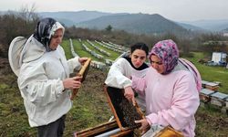 Anne ve kızları, arıcılığı profesyonel boyuta taşıdı