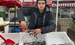 Hamsiye bir hafta ömür biçildi