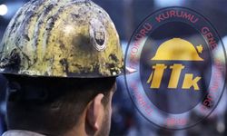 İş durdurma davasında ilk duruşma görüldü