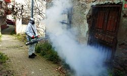 Zararlılarla kaynağında mücadele