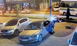 Sürücü yaralandı, köpek telef oldu!