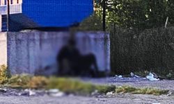 Ereğli'de, hayvana istismar iddiası!