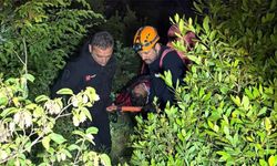 Amatör balıkçı, kayalıklardan düştü!